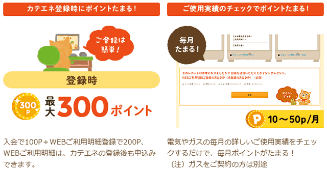 カテエネ 登録時　300ポイントプレゼント